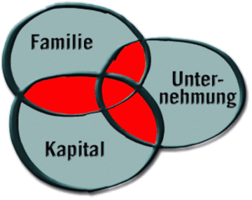 Beratung Firmenverkauf - The 3 Circle Model
